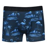  QUẦN UNDERWEAR HANDEE HỌA TIẾT CHIM HẠC 