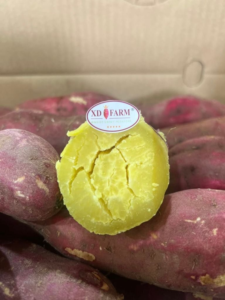 Khoai lang Nhật thượng hạng XD Farm