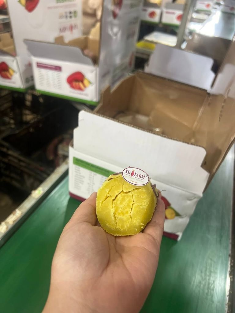 Khoai lang Nhật thượng hạng XD Farm