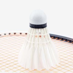 Hộp Cầu Lông Tiêu Chuẩn Promax PR-640 Chính Hãng