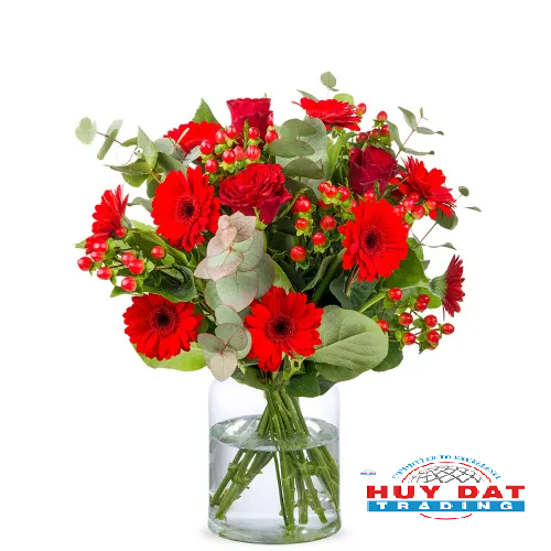 tuan-moi-lam-viec-day-nang-luong