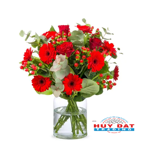 TUẦN MỚI LÀM VIỆC ĐẦY NĂNG LƯỢNG