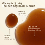  [MUA 1 TẶNG 1] Dầu Gội Bồ Kết MILAGANICS Cô Đặc, Thảo Dược, Sạch Gàu, Ngừa Rụng Tóc, Mọc Tóc - 250ml 