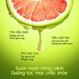  [Ẩn] [MUA 1 TẶNG 1] Dầu gội bưởi giảm rụng & giúp mọc tóc -Dầu gội tinh dầu bưởi mọc tóc MILAGANICS 250ml 