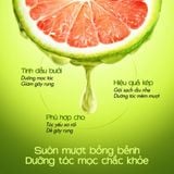  [MUA 1 TẶNG 1] Kem Ủ Tóc Bưởi MILAGANICS Hủ 250g 