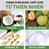  Combo Dầu Gội & Kem Ủ Bưởi MILAGANICS - Tinh Dầu Bưởi, Dưỡng Tóc, Kích Mọc, Ngăn Rụng 