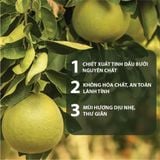  [COMBO TẶNG 1] Combo Dầu Gội & Dầu Xả Tinh Dầu Bưởi MILAGANICS 250ml 