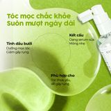  [MUA 2 TẶNG 1] Combo 2 Xịt Bưởi Dưỡng Tóc Chắc Khỏe MILAGANICS 