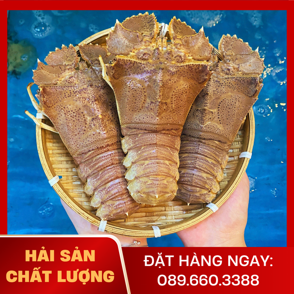  Tôm Mũ Ni Trắng 