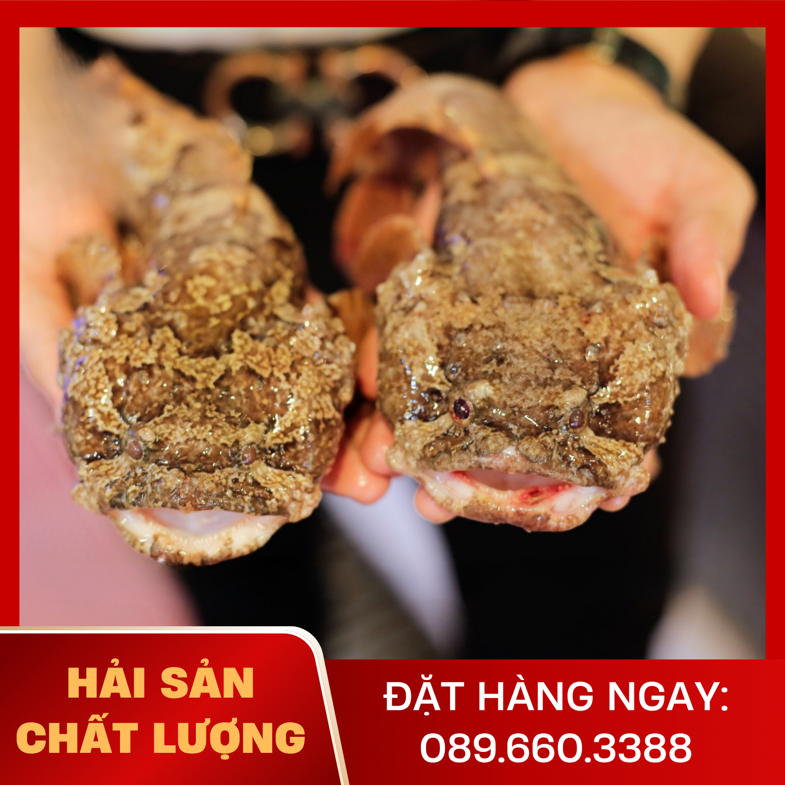  Cá Mang Ếch 