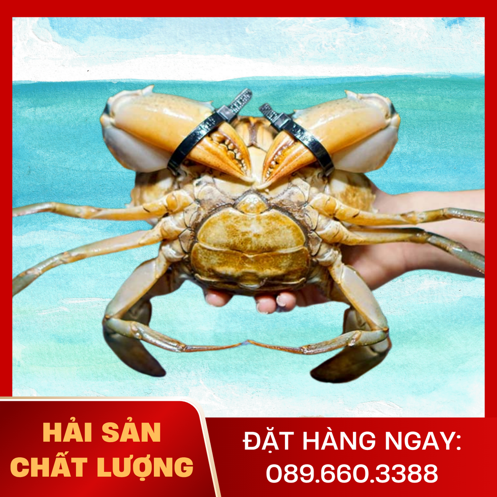  Cua Gạch Loại 1 