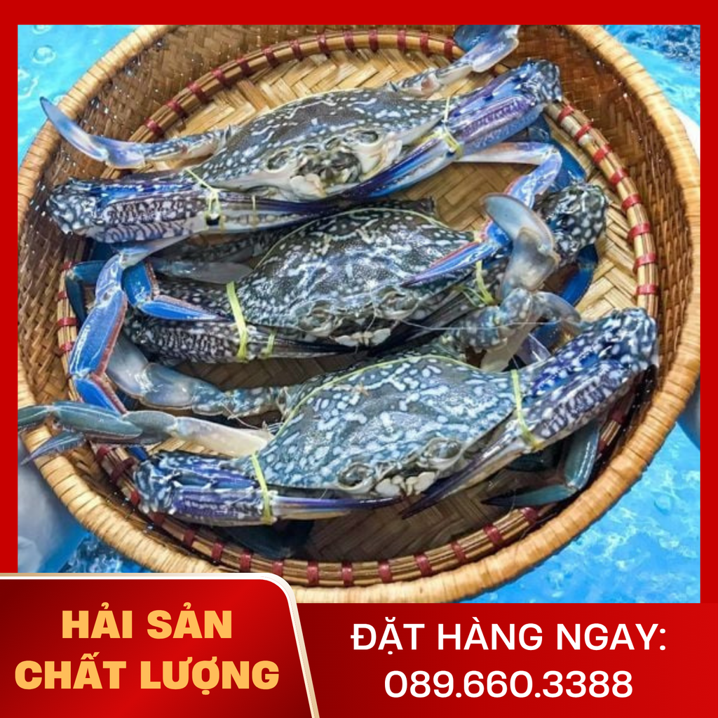  Ghẹ Loại 1 