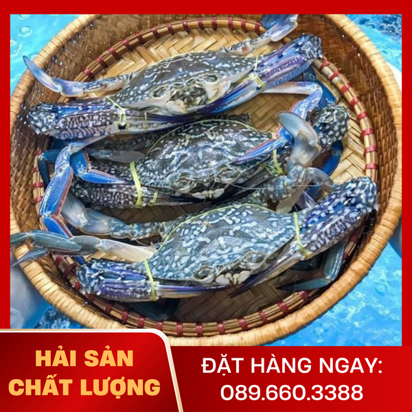  Ghẹ Loại 1 