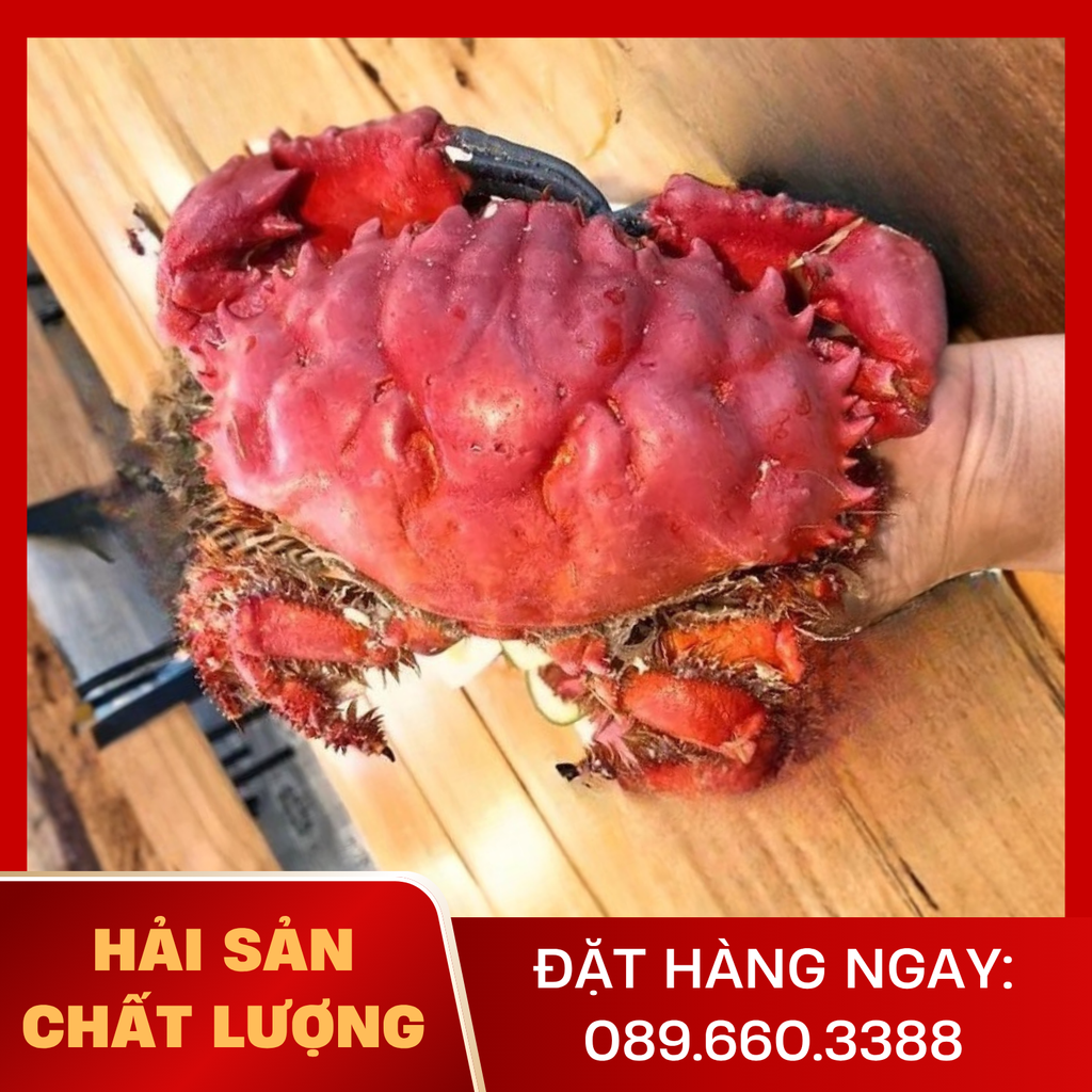  Cua Đỏ 