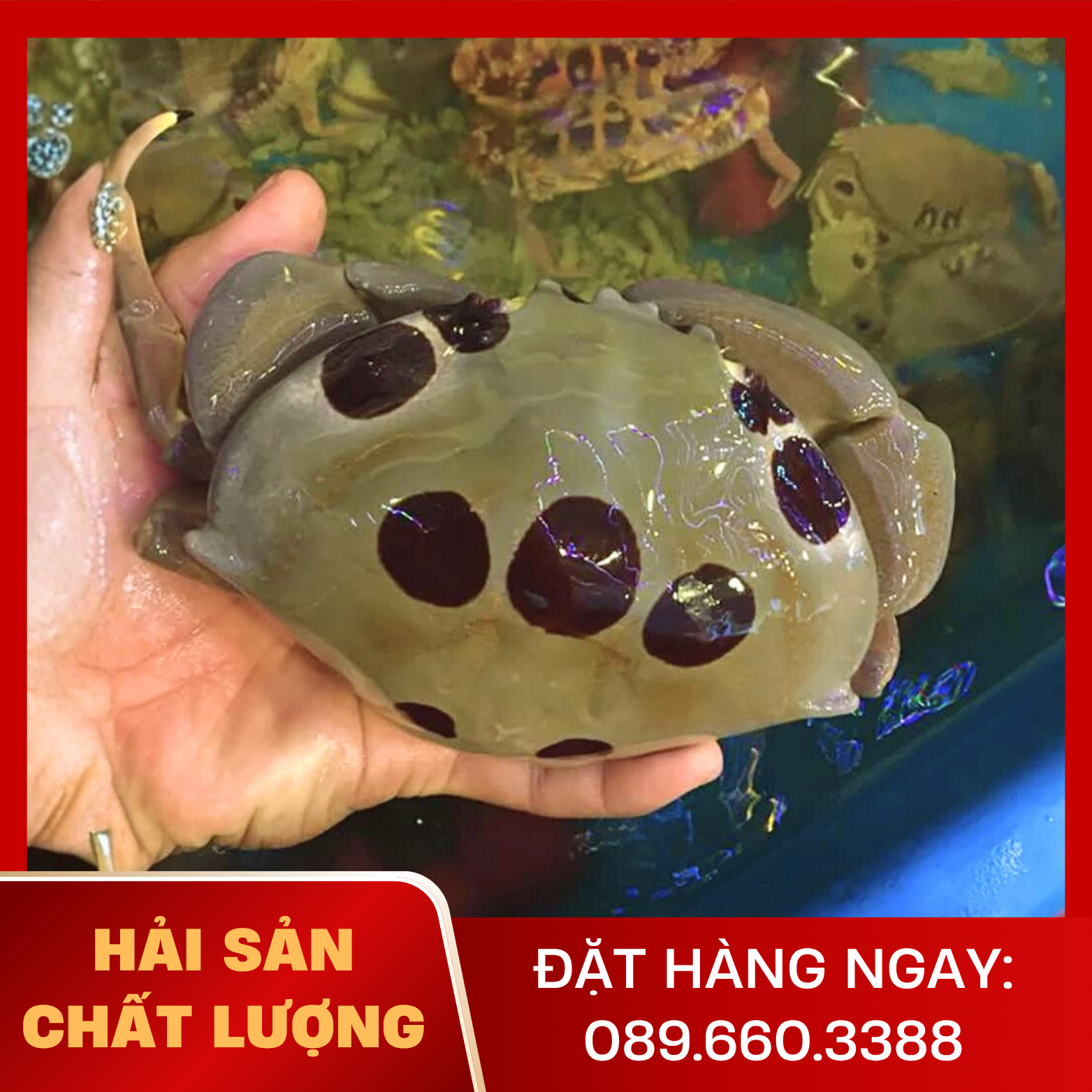  Cua Mặt Trăng 