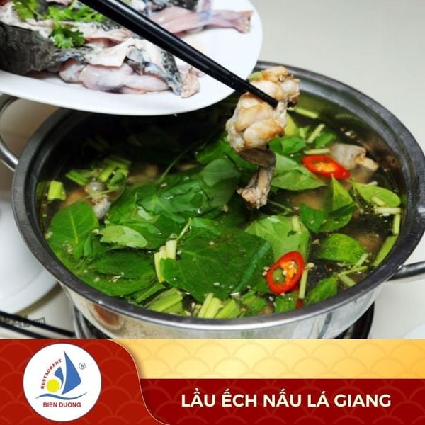  Lẩu Ếch Nấu Lá Giang 