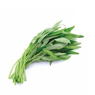 Rau muống hữu cơ - CU841314