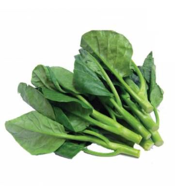 Mồng tơi hữu cơ - CU841314