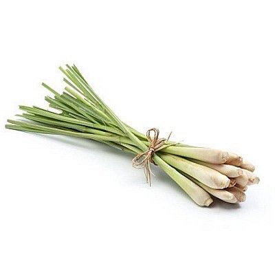 Sả hữu cơ - CU841314