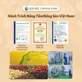 Trà dưỡng nhan đông trùng hạ thảo Quê Việt
