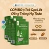 Combo 3 hộp Trà gạo lứt Đông trùng hạ thảo Quê Việt hỗ trợ bồi bổ khí huyết, thanh lọc cơ thể mát gan - Hộp [450g, 600g]