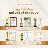 Trà dưỡng nhan đông trùng hạ thảo Quê Việt - Hộp 100G, 200G