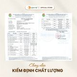 Combo 3 hộp Trà gạo lứt hoa cúc Quê Việt TẶNG 1 trà Good Lứt 150G - Hộp 600G, 450G