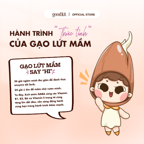 Combo 5 Trà gạo lứt mầm gừng sẻ quế chi Good Lứt - Thư giãn tinh thần, làm ấm cơ thành phần tự nhiên, an toàn, 150G