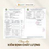 Combo 2 hộp sữa hạt dinh dưỡng Quê Việt (không đậu nành) - Hộp 500G