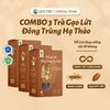 Combo 3 hộp Trà gạo lứt Đông trùng hạ thảo Quê Việt hỗ trợ bồi bổ khí huyết, thanh lọc cơ thể mát gan - Hộp [450g, 600g]