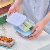  Bộ 7 hộp thực phẩm chữ nhật Hokkaido 500-750-1000-1500-2000-2500-3500ml (Rainbow) 
