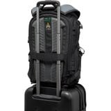Balo máy ảnh Lowepro ProTactic BP 350 AW III