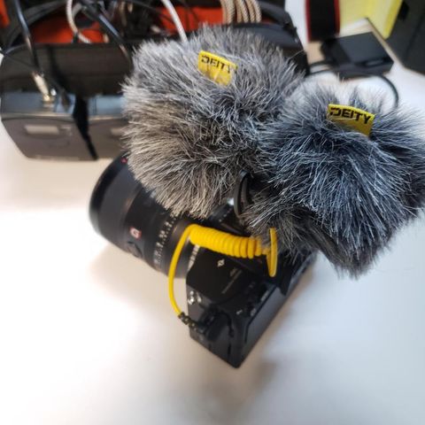  Microphone thu âm kép hiệu Deity D4 DUO Camera-Mount 