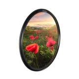 Kính lọc Haida Greystone Multi-coating UV Filter 55mm