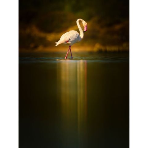  Ống kính OM SYSTEM M.Zuiko Digital ED 150-600mm F5.0-6.3 IS ngàm Micro Four Thirds 