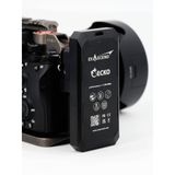  Ổ cứng gắn ngoài Exasend Gecko Portable SSD 1TB 