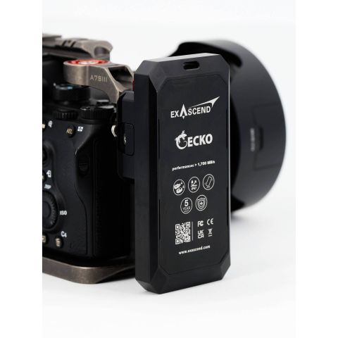  Ổ cứng gắn ngoài Exasend Gecko Portable SSD 1TB 