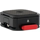  Ổ cứng gắn ngoài Exasend Gecko Portable SSD 1TB 