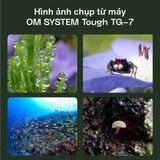 Máy ảnh OM SYSTEM Tough TG-7 (Black)