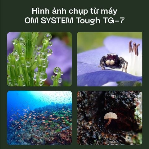 Máy ảnh OM SYSTEM Tough TG-7 (Black)