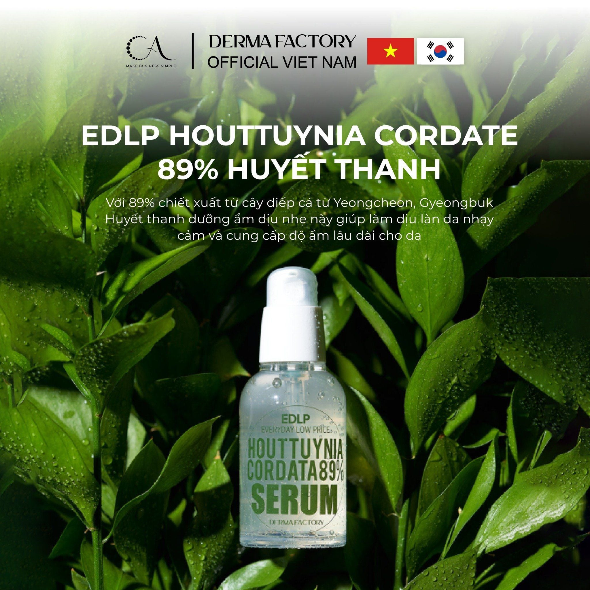 Derma Factory Houttuynia Cordata 89% Serum – Serum rau diếp cá