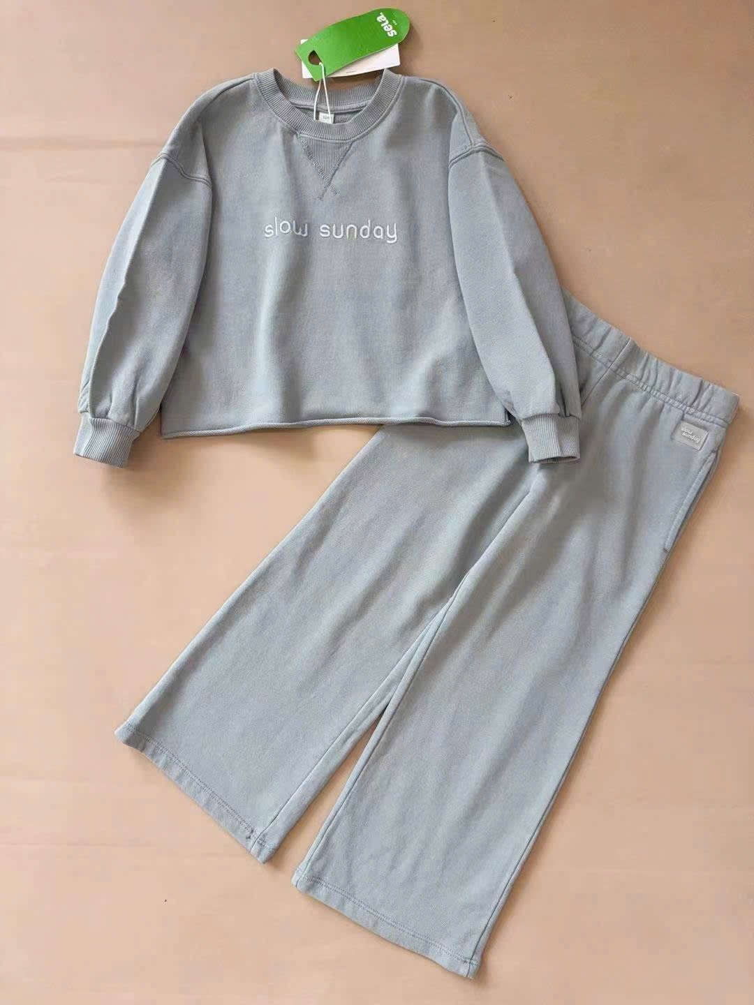 BBG17 - Bộ nỉ Sela 2 màu xanh/hồng bé gái size 92-140