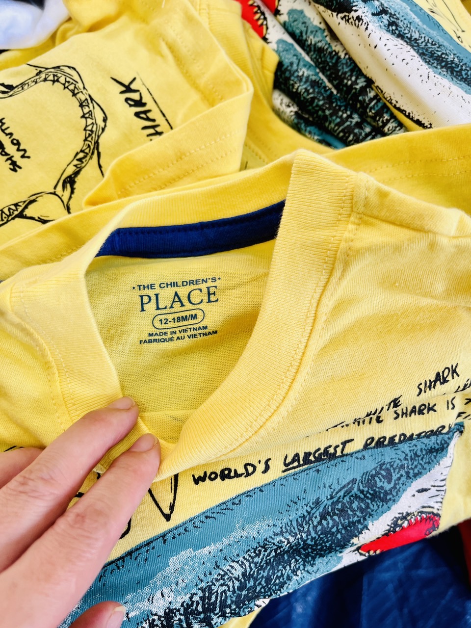 Bộ cotton dài tay Place nhiều hình BT 1-5y