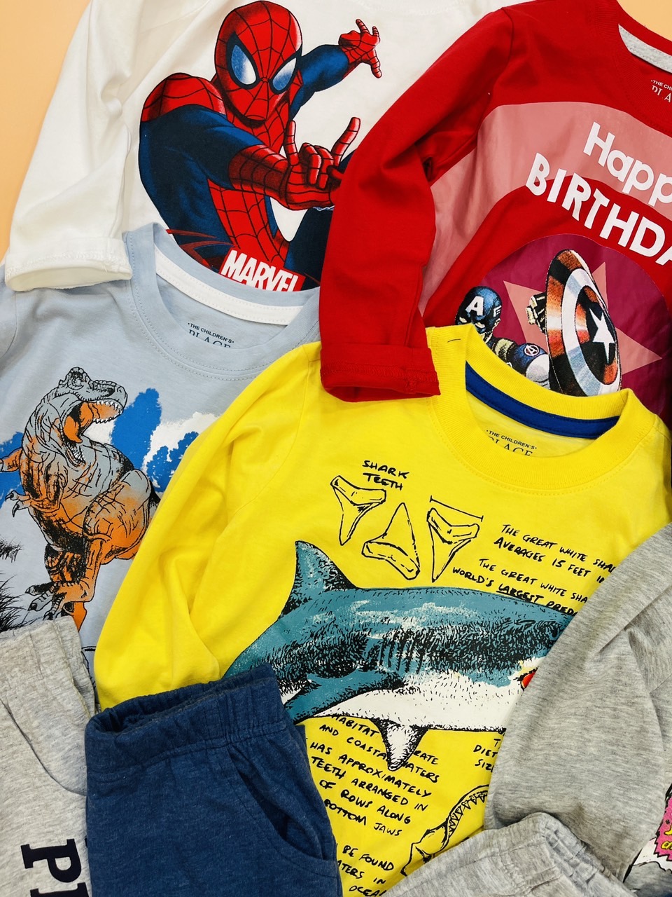 Bộ cotton dài tay Place nhiều hình BT 1-5y