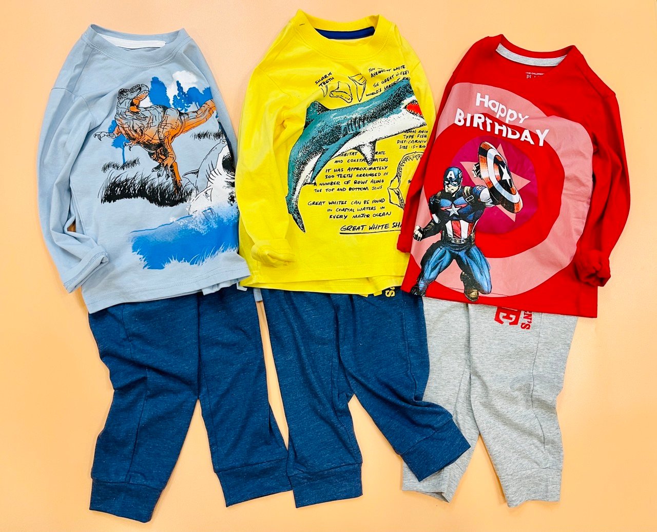 Bộ cotton dài tay Place nhiều hình BT 1-5y