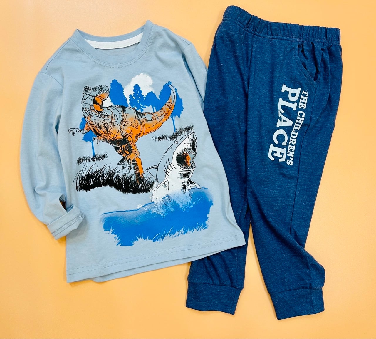 Bộ cotton dài tay Place nhiều hình BT 1-5y