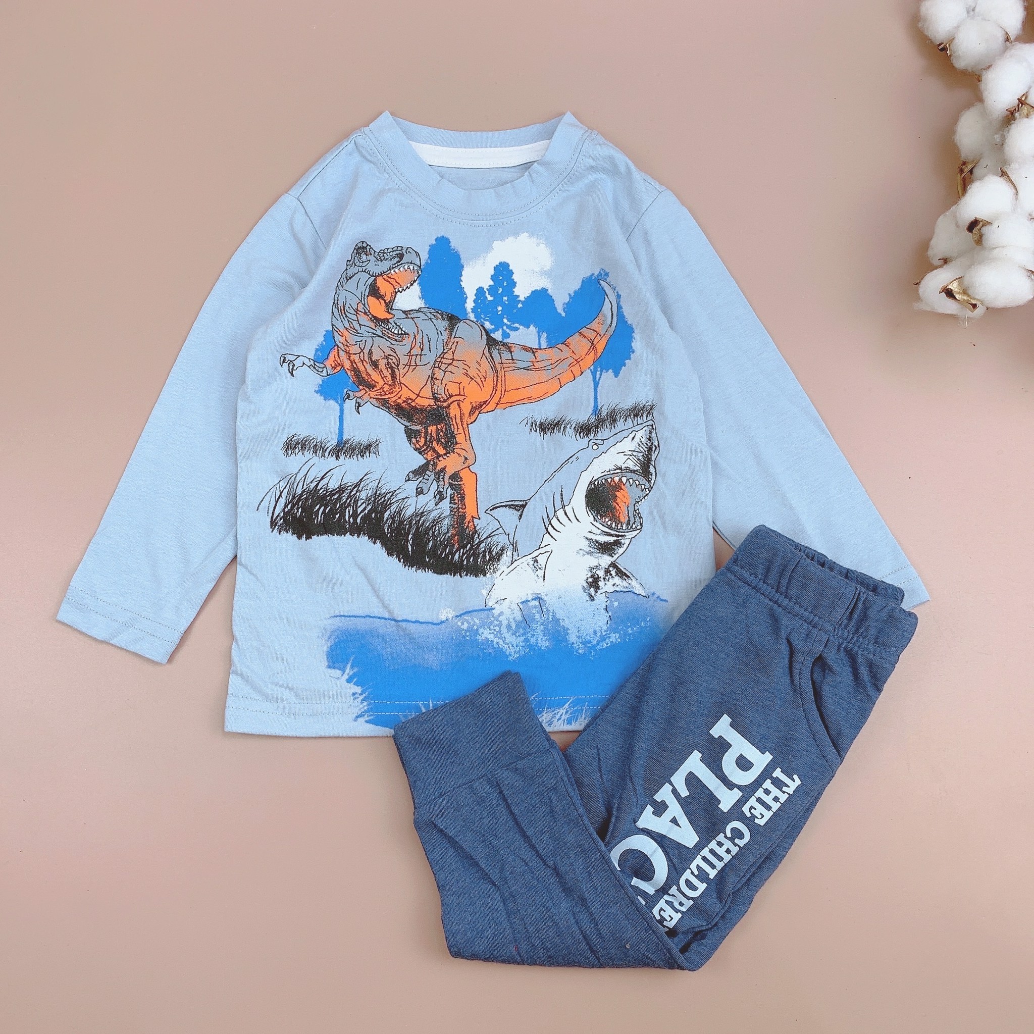 Bộ cotton dài tay Place nhiều hình BT 1-5y