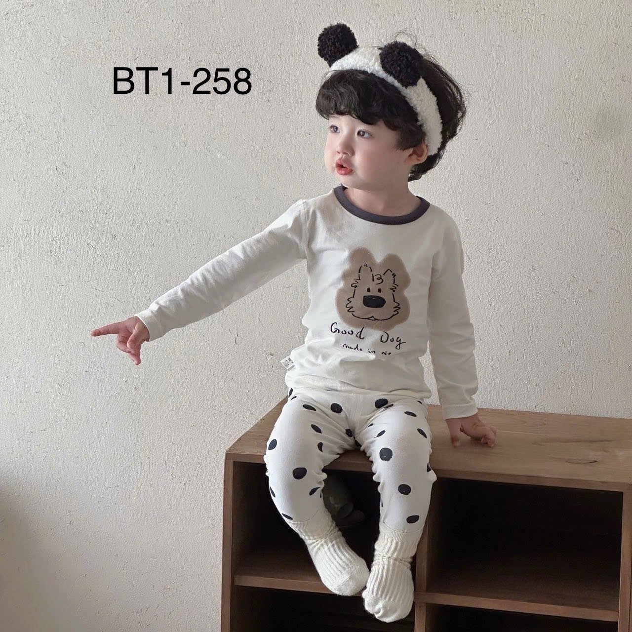 BM1 - Bộ thun Luboer nhiều hình cho Bé Trai size 90 - 160