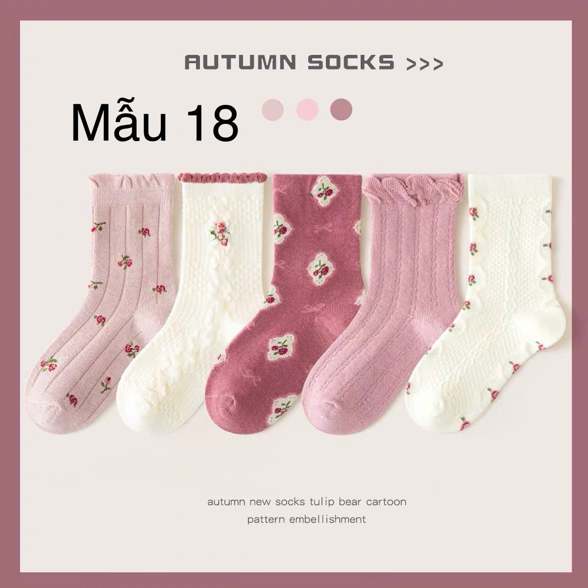 2024 - Set 5 tất Minliu Kids Socks nhiều hình Bé Gái size S - XL ( 2 - 15y )