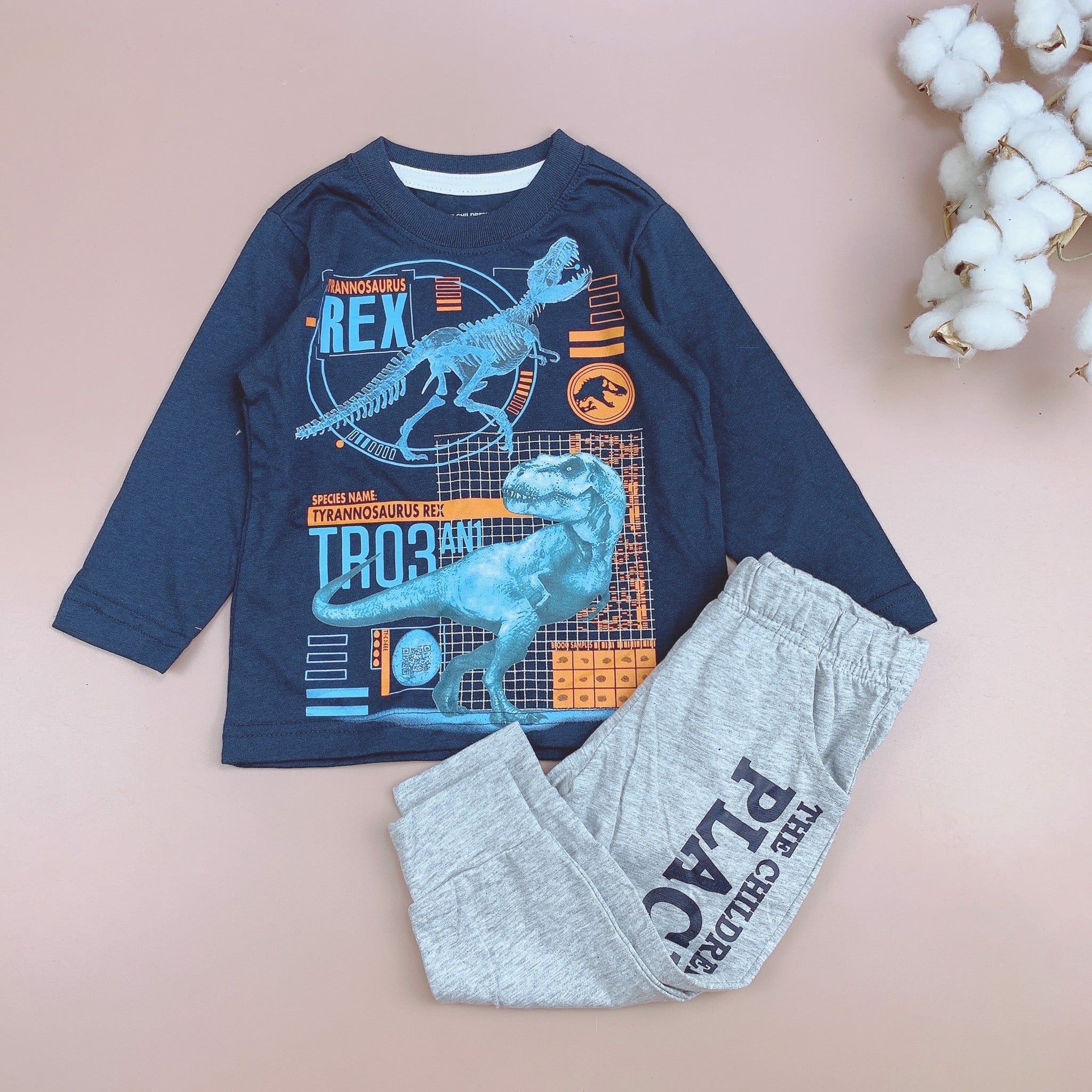 Bộ cotton dài tay Place nhiều hình BT 1-5y